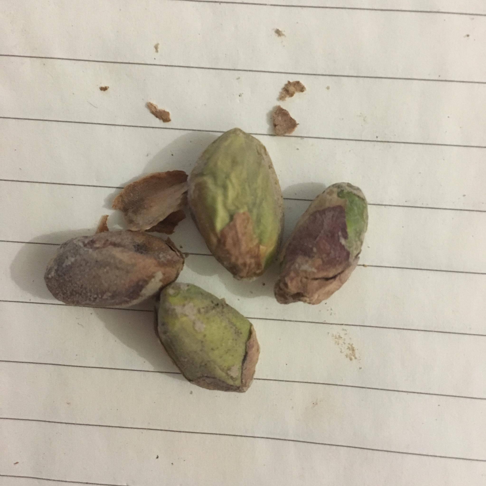 18110117_10158665536935360_117906338_o